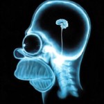 homer's brain