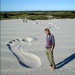 bigfoot Big Foot Optical Illusion