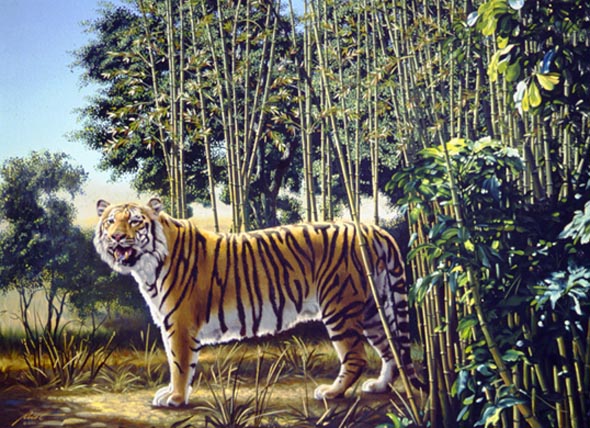 Hidden-Tiger-Optical-Illusion.jpg