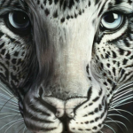 IMG 0486 150x150 optical illusion iPad + iPhone App