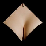 5923594-lg ...told you it was just a piece of paper!