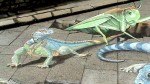 Lienz Street Art Festival 2009