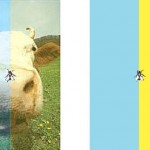 colored cow optical illusion colored cow optical illusion