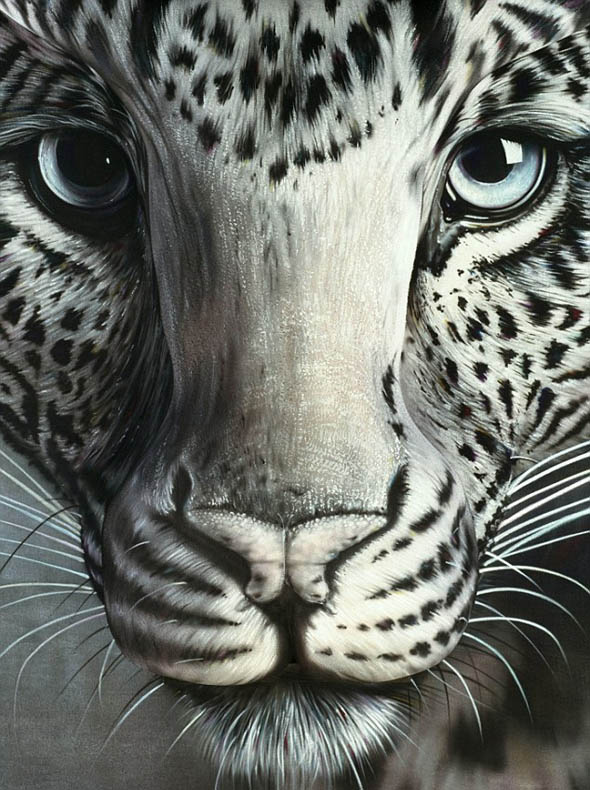 Leopard Optical Illusion