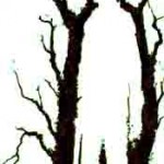 The secret lies in the branches The secret lies in the branches