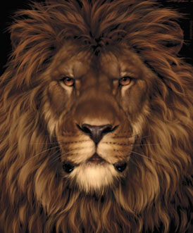 lion mouse optical illusion 1 Can you see another animal in this picture?