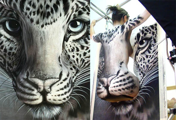 Leopard Illusion