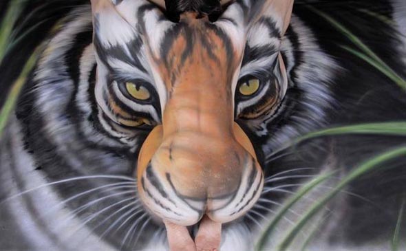 Bodypaint Tiger Optical Illusion by Craig Tracy 4