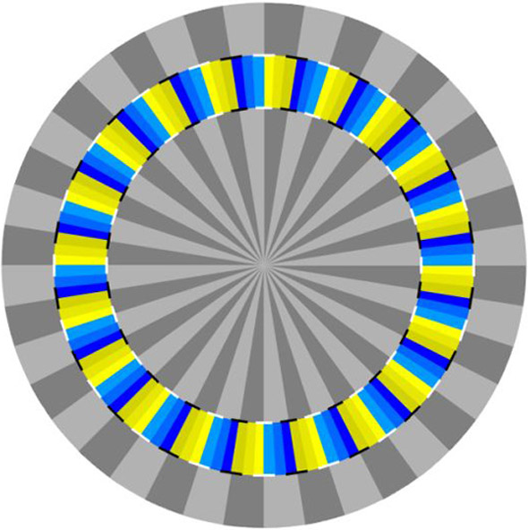 Optical Illusion Spiral - Concentric Circles 2 Optical Illusion Spiral - Concentric Circles 2
