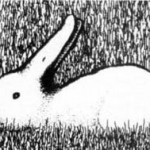 rabbit duck optical illusion rabbit duck optical illusion