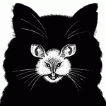 CatOrMouseOpticalIllusion