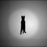 Spinning Cat
