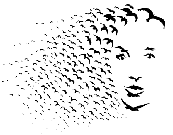 Birds of a feather flock together optical illusion