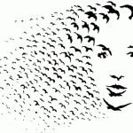 Birds of a feather flock together optical illusion Birds of a feather flock together optical illusion