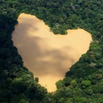 BRAZIL/heart amazona