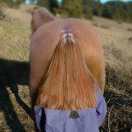 Cool Optical Illusion