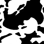 mysterious8