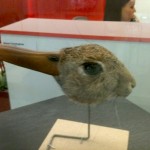 rabbit-duck