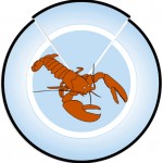 8n-Broken_dish