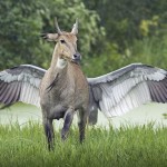article-0-0C3E60AE000005DC-805_964x642