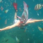 Fish head