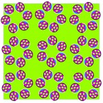 814060275_bee6968d3d_o