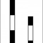 Bar+Size+Optical+illusion