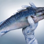 Guido Daniele Handimals 2