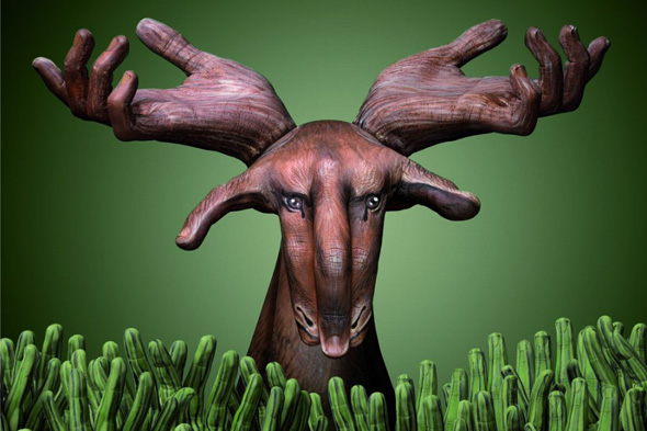 Guido Daniele Handimals 3 optical illusion The Hand Art of Guido Daniele