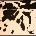 Optical Illusion Cows