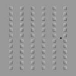 animation1