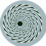 Follow The Spiral