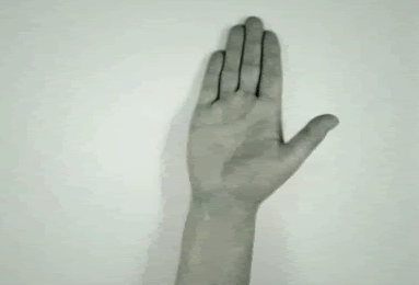 hands