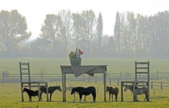 Giant_Tables_Small_Horses
