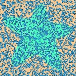 floating star optical illusion