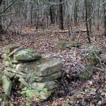hidden face in the woods