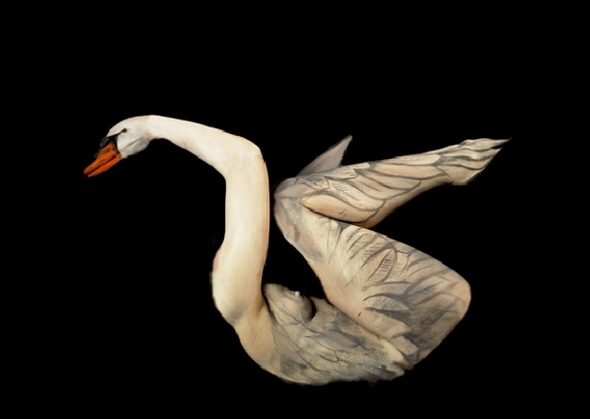 Swan Body Painting