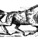 The Invisible Jockey