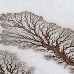 rivertree