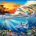 DOLPHINS