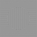 Ouchiillusion2011d