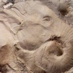 elephant_rock_formation