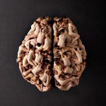 Human Brain made of people TEDxAmsterdam