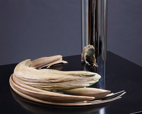 Anamorphic sculptures by J. Hurwitz