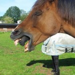This optical illusion is known as the horse mouth optical illusion. Horse Mouth Optical Illusion
