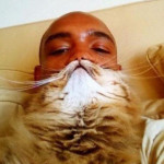 Cat Face optical Illusion