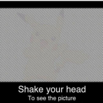 Shake Your Head Optical Illusion