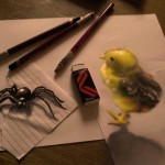 3D Bird and Spider Drawing