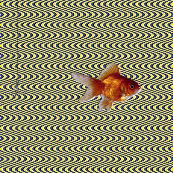 3D Fish Optical Illusion