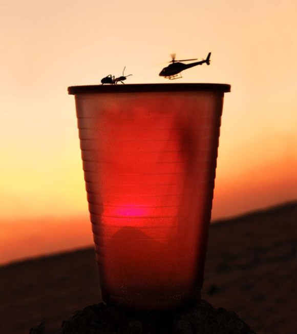 Ant and Helicopter Optical Illusion